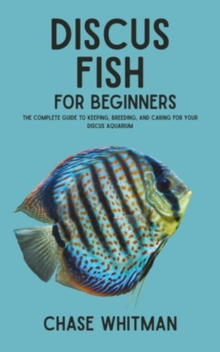 Discus fish for beginners - discus,