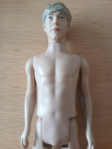 Bambola niall horan - nude, 2013