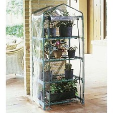 SERRA PER GIARDINO AZALEA 4