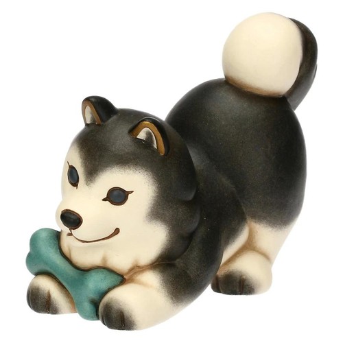 Cane husky thun - husky, osso