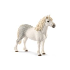 Horse Krabby Welsh Pony (male)