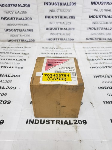 Fisher 25a6687x012 anello - fisher,