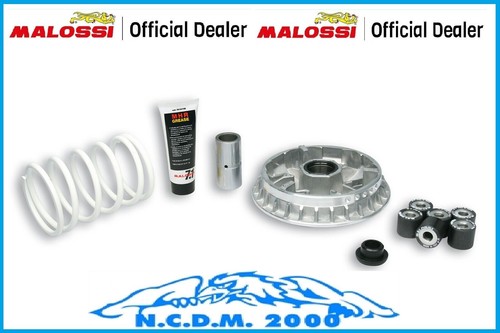 Variatore malossi multivar - variatore,