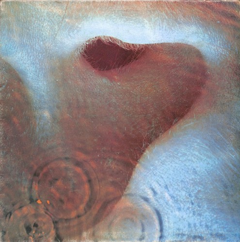 Pink floyd meddle lp - pink,