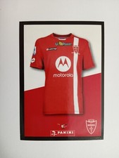 FIGURINA CALCIATORI PANINI