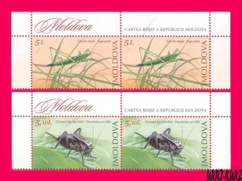 Moldavia 2024 natura fauna - moldavia,