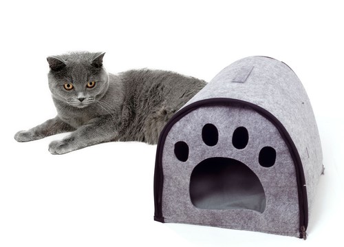 Cuccia con cuscino interno - cuccia,