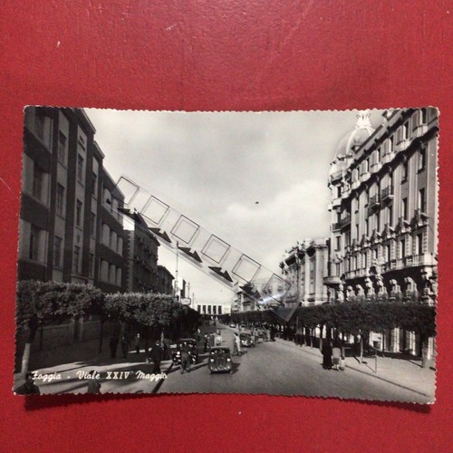 Foggia viale xxiv - foggia,viale,