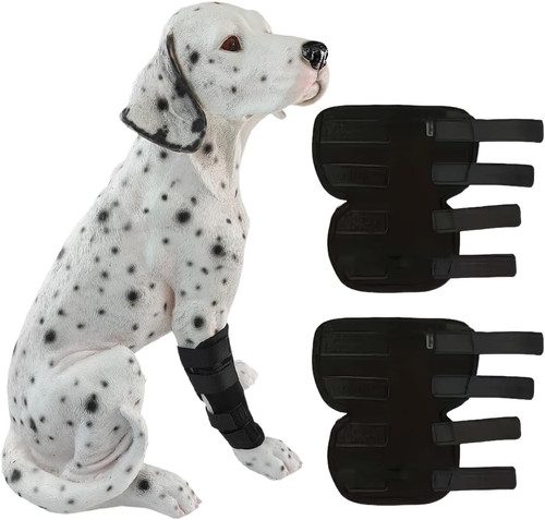Artrosi cane tutore - artrosi,