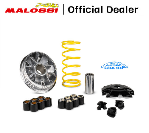 Variatore malossi multivar - malossi,