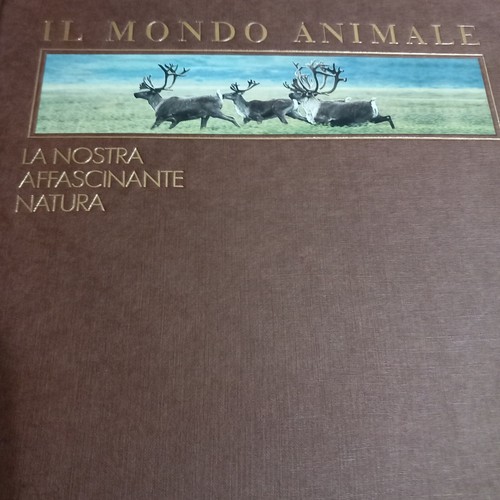 Libro mondo animale - libro,