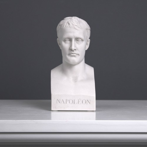 Statua busto napoleone in - statua, di