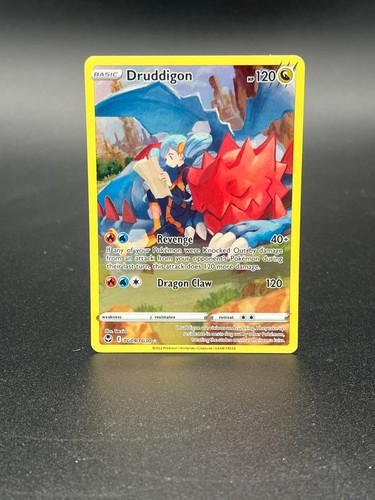 Pokemon card druddigon - pokemon, card-