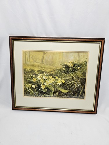 Stampa vintage mary dipnall - stampa,