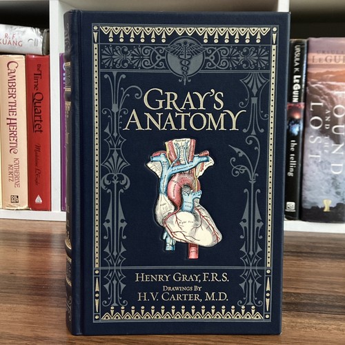 Gray anatomy descriptive - anatomy, &