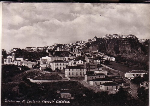 Caulonia viaggiata - caulonia,