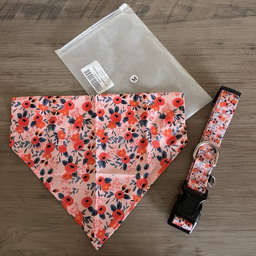 Set bandana collare per - set,
