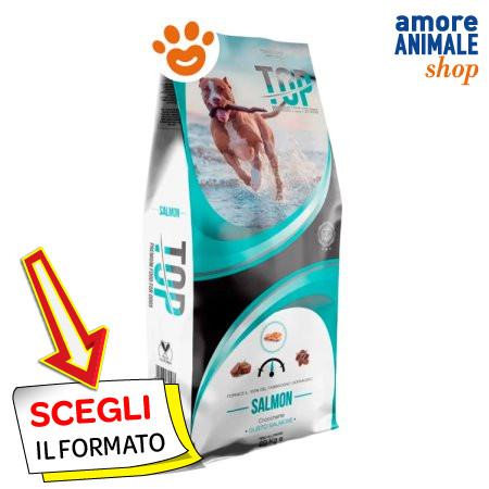 Dagel top salmon dog - dagel,