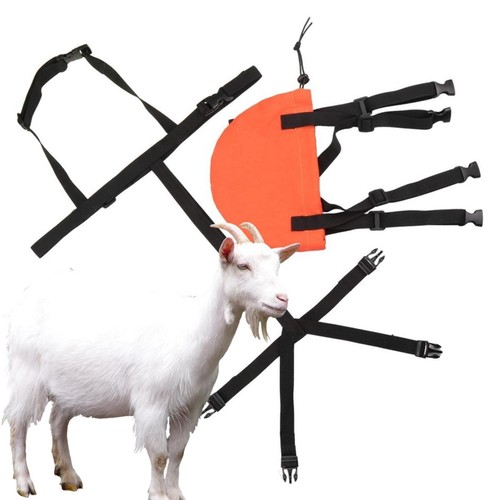 Accessori capre braudder - capre,