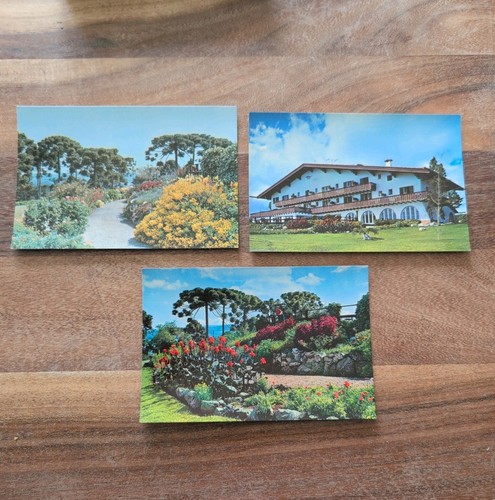 Vintage colecatble postcards - vintage,