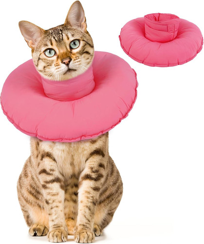 Collare protettivo gatto - collare,