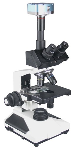 Radical 2500x professionale - radical,