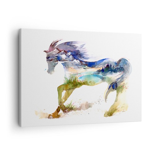 Quadro tela 70x50cm - su, cavallo