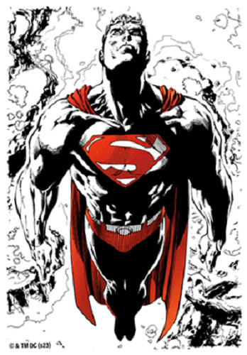 Single sleeve superman - sleeve, core