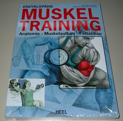 Enzyklopädie muskel training - enzyklopädie,