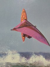 107 FAN WINDSURF - HAWAY - CARTOLINA A COLORI DA COLLEZIONE O SPEDIZIONE