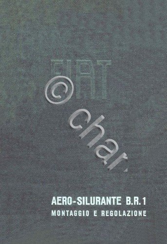 Regia aeronautica aircraft - regia,