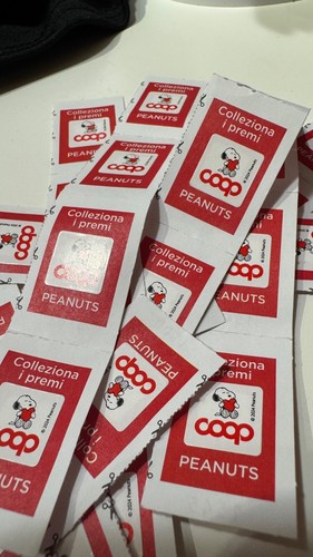 Bollini coop - bollini,