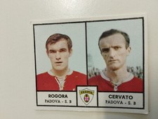 RARA !!! ROGORA/CERVATO