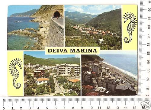 Cartolina deiva marina - cartolina,
