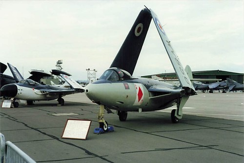Foto hawker sea - hawk, somerset