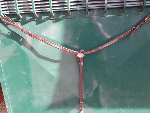 Pettorale cuoio con - in,
