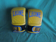 GUANTONI BOXE "LEONE"