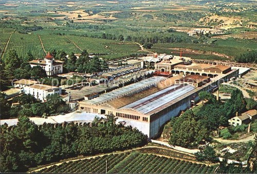 Cavas codorniu ripresa aerea - cavas,