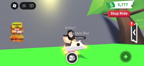 Neon fly ride golden - fly,