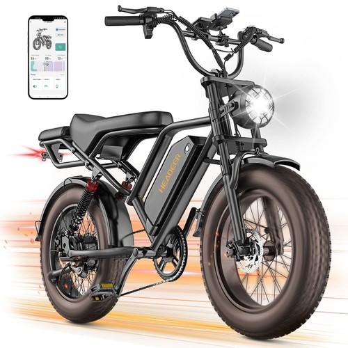 Fat tire bike 48v20ah - fat, e-bike