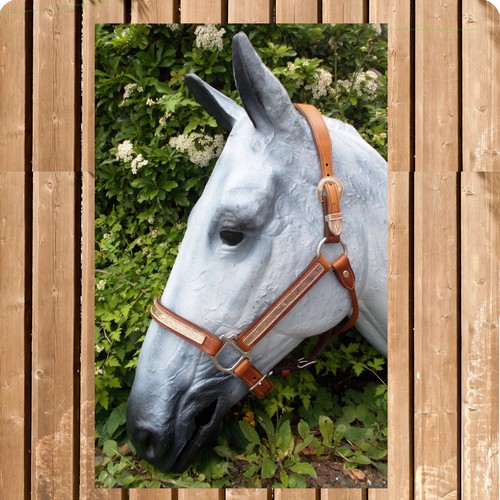Western show supporto argento - western,