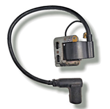 Bobina Selettra con pipetta candela PVL-Originale IAME Leopard/X30 fino al 2015