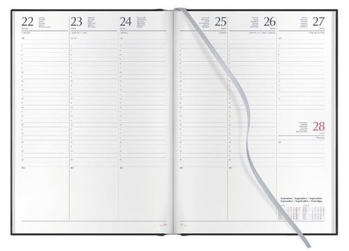 Agenda cangini filippi - agenda,