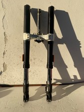 BMW F 900 R - FORCELLA