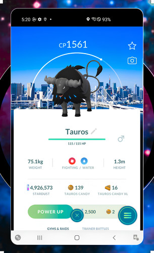 Paldean tauros aqua tokyo - aqua,