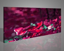 Modern Paintings with Flowers