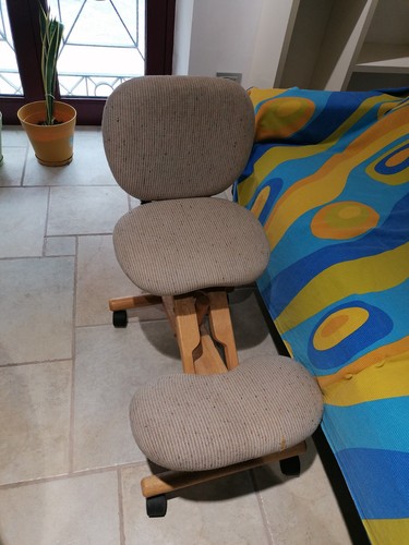 Sedia ergonomica con schienale