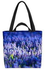 Campo di lavanda Spagna fiori