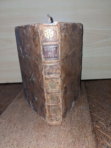 Libro antico buffon storia - antico,