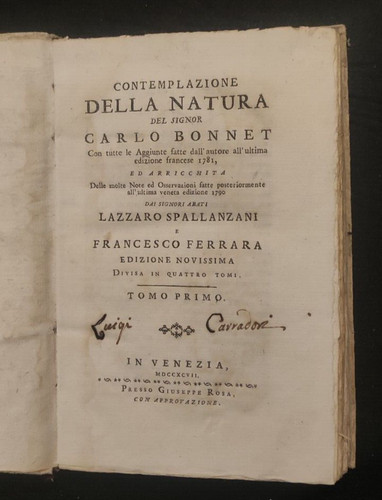Contemplazione della natura - contemplazione,